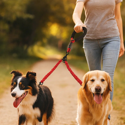 Anti-Tangle Double Dog Leash
