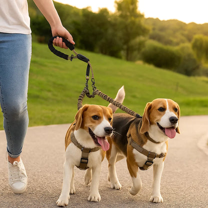 Anti-Tangle Double Dog Leash