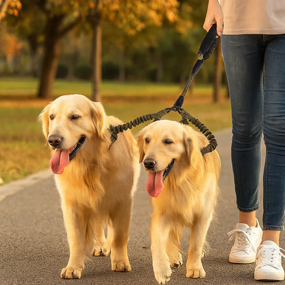 Anti-Tangle Double Dog Leash