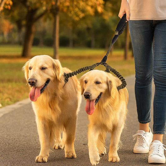 Anti-Tangle Double Dog Leash