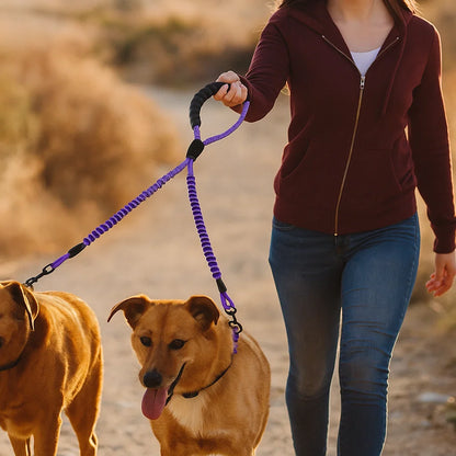 Anti-Tangle Double Dog Leash