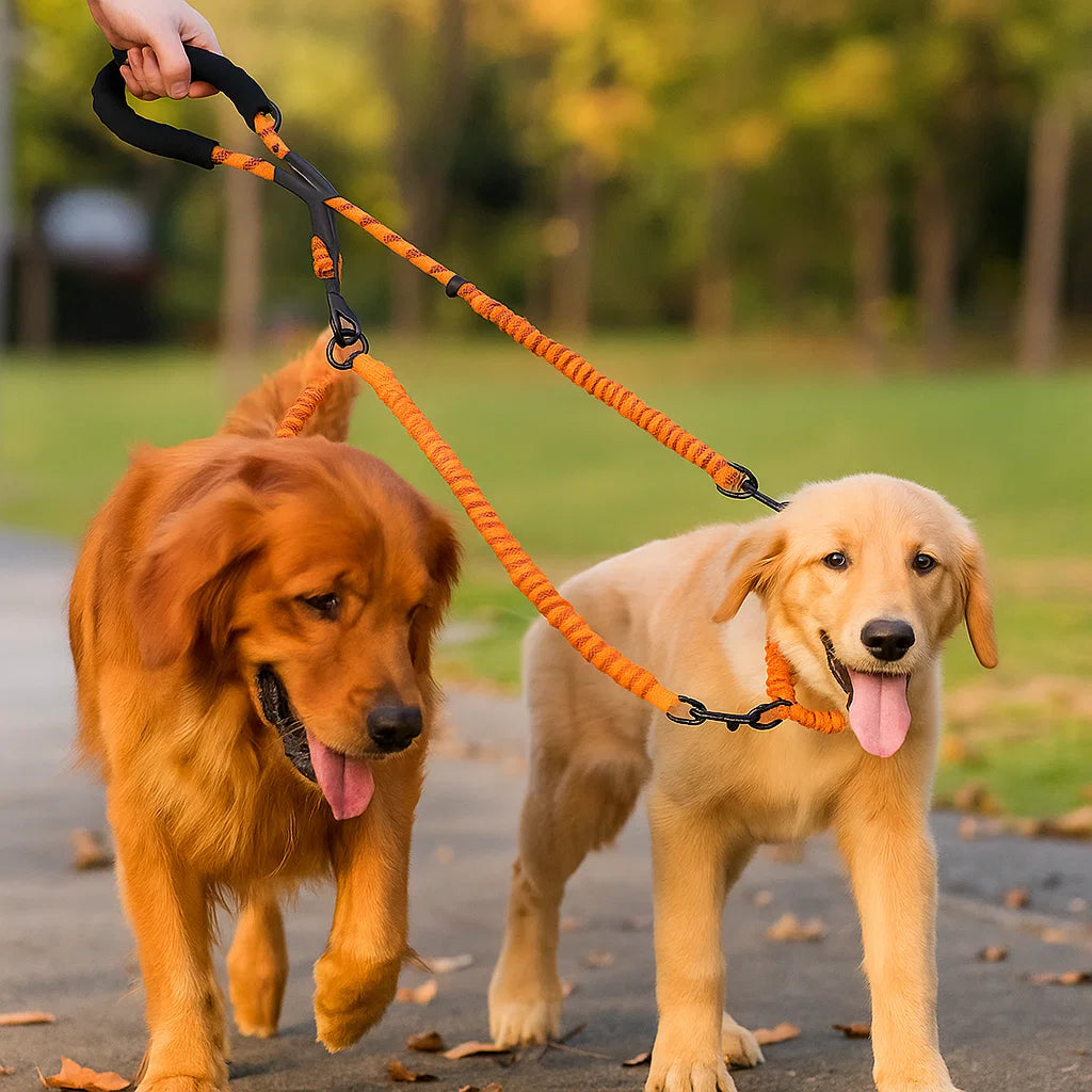 Anti-Tangle Double Dog Leash