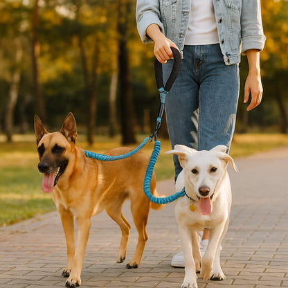 Anti-Tangle Double Dog Leash