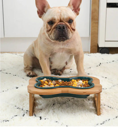Ceramic Dog Bowl with Wooden Stand