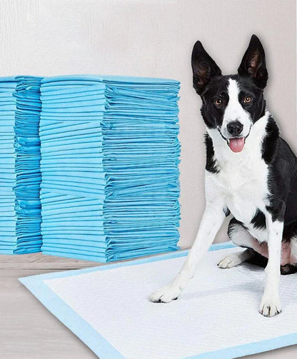 House-training Pads