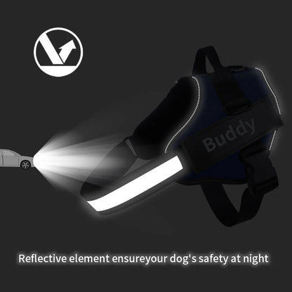 Personalized No-Pull Dog Harness