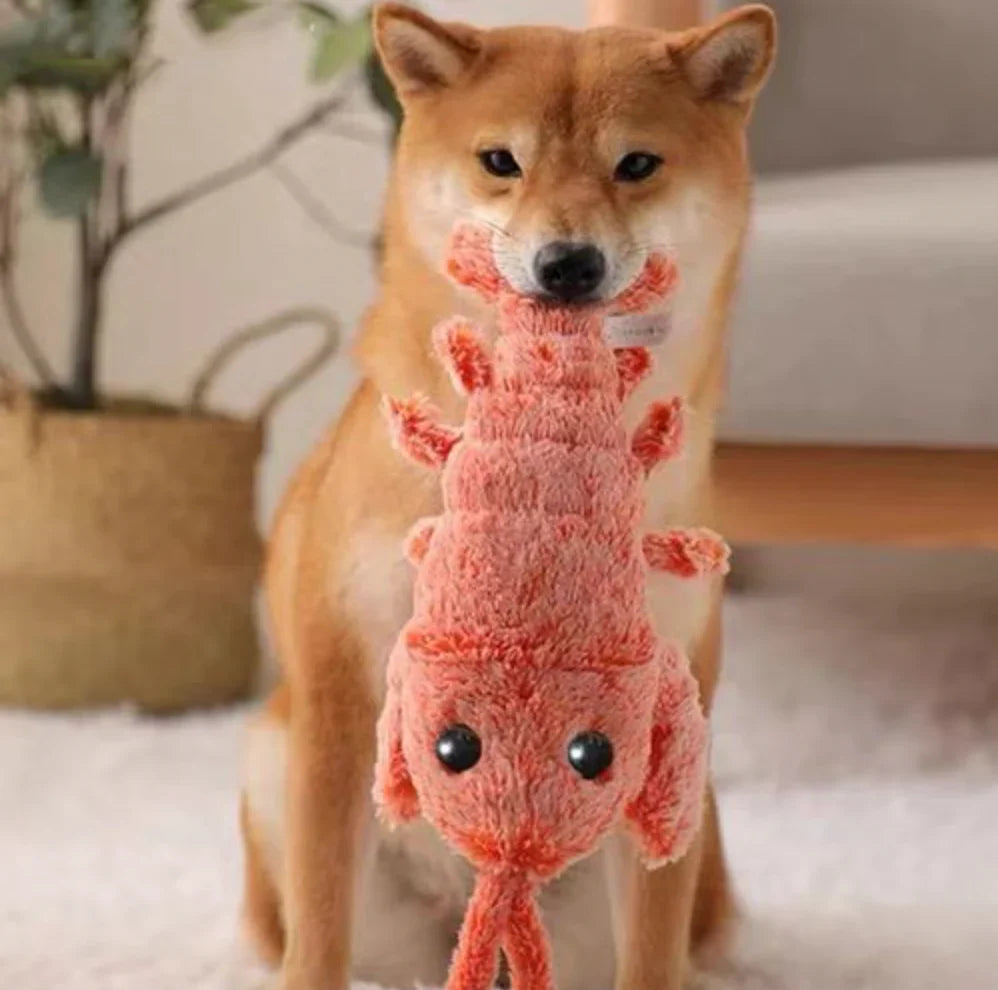 Wobbly Lobster - Interactive Dog Toy