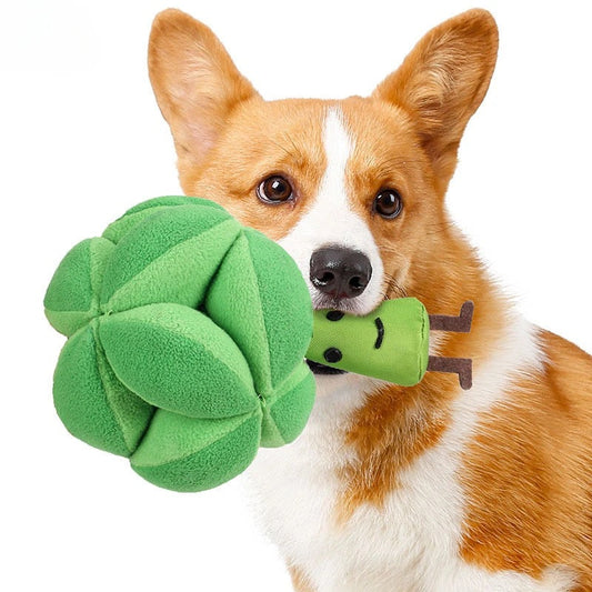 Sniffing Broccoli - Interactive Treat Toy