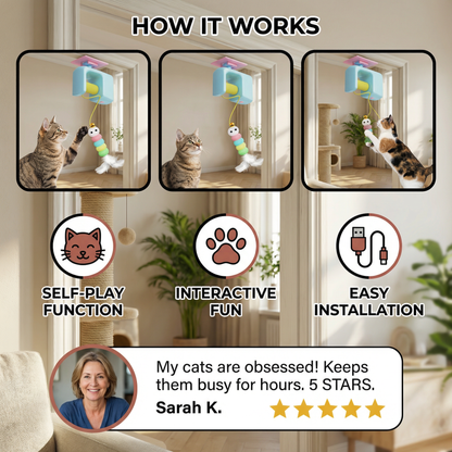 Interactive door yo-yo cat toy with self-play function