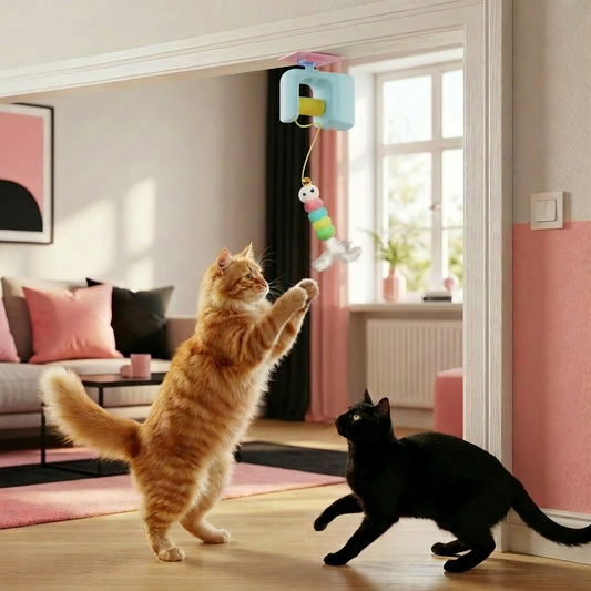Interactive door yo-yo cat toy with self-play function