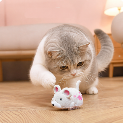 Active Hamster Indoor Cat Toy