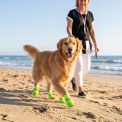 Breathable Mesh Dog Shoes for Hot Days – Soft Sole for Small & Large Dogs