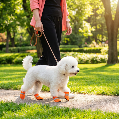 Breathable Mesh Dog Shoes for Hot Days – Soft Sole for Small & Large Dogs