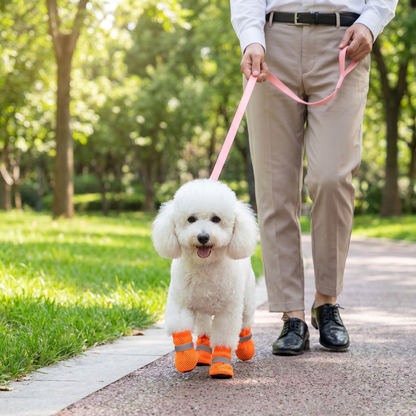 Breathable Mesh Dog Shoes for Hot Days – Soft Sole for Small & Large Dogs