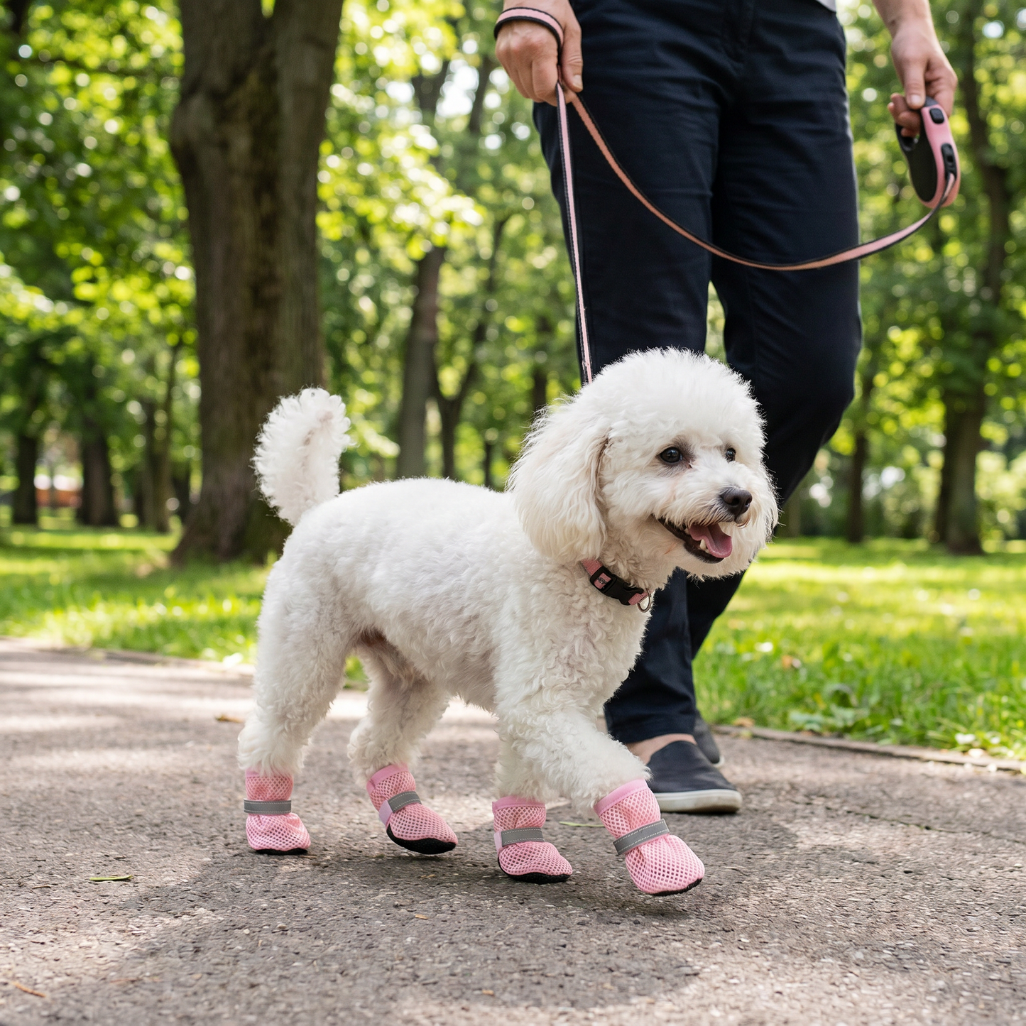 Breathable Mesh Dog Shoes for Hot Days – Soft Sole for Small & Large Dogs