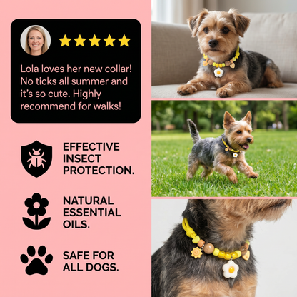 Cute collar with insect repellent for dogs