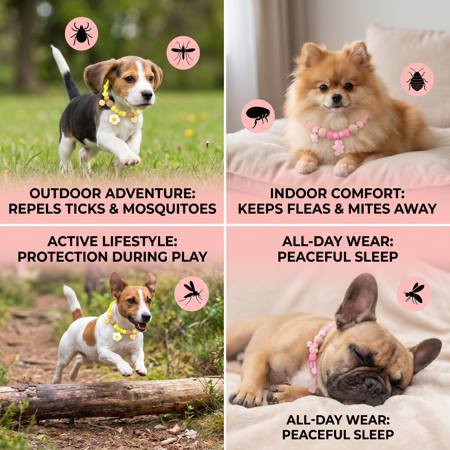 Cute collar with insect repellent for dogs