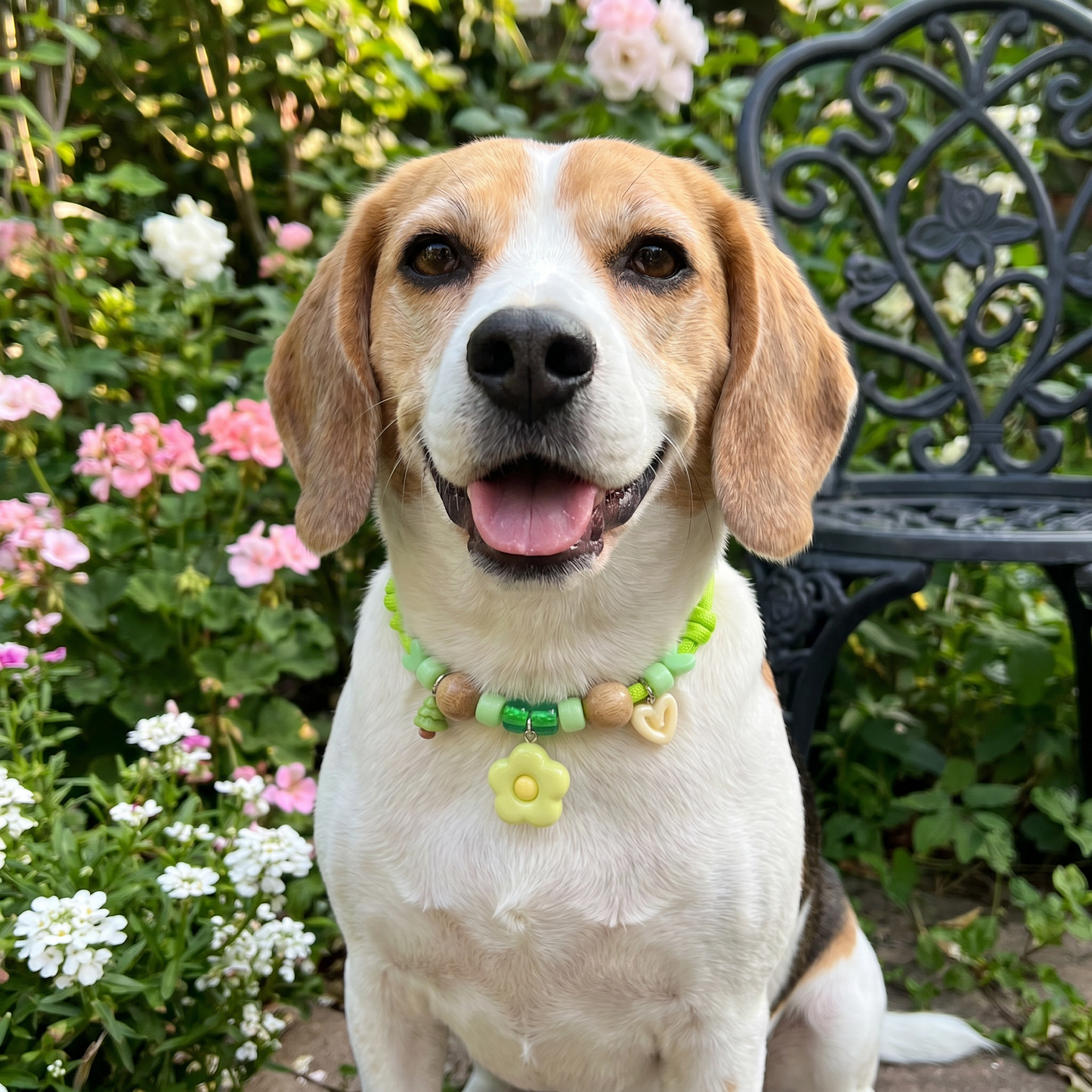 Cute collar with insect repellent for dogs