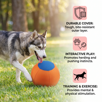 Durable training ball with cover for dogs