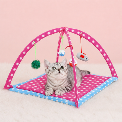 Foldable Cat Play Tent with Hanging Toys and Activity Mat