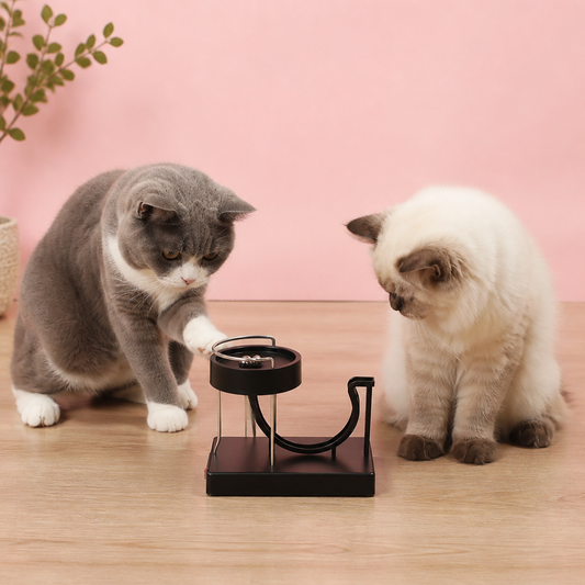 Marble run cat toy for endless fun