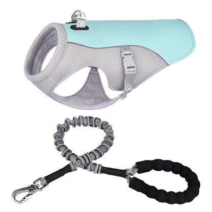 Dog Harness
