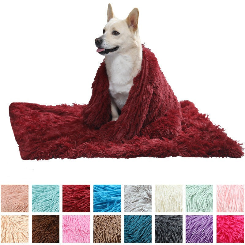 Dog Blanket