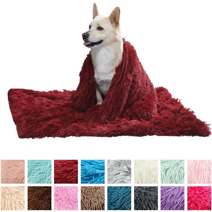 Dog Blanket