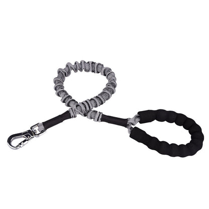 Dog Harness