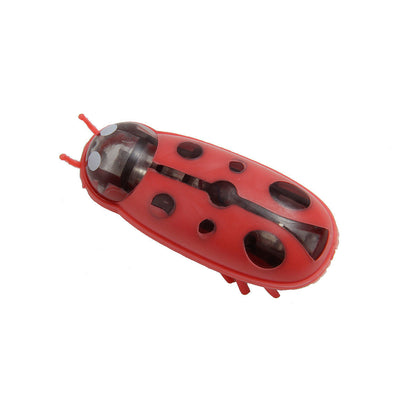 Cat Cockroach Toy