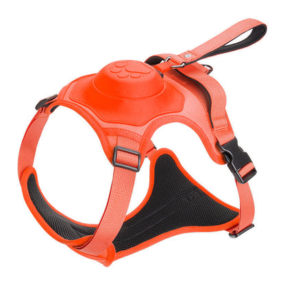 Cozy 2-in-1 Anti-Pull Dog Leash with Harness