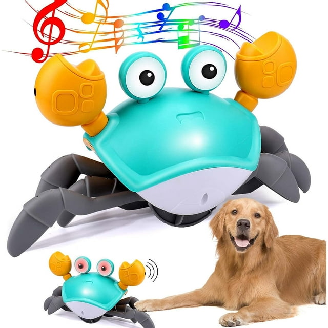 Dancing Crab - Interactive Dog Toy