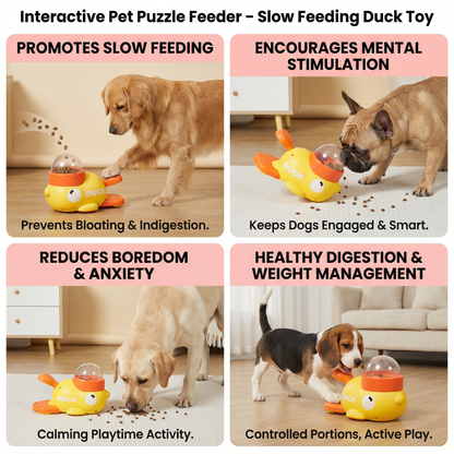 Interactive Pet Puzzle Feeder – Slow Feeding Duck Toy for Dogs & Cats