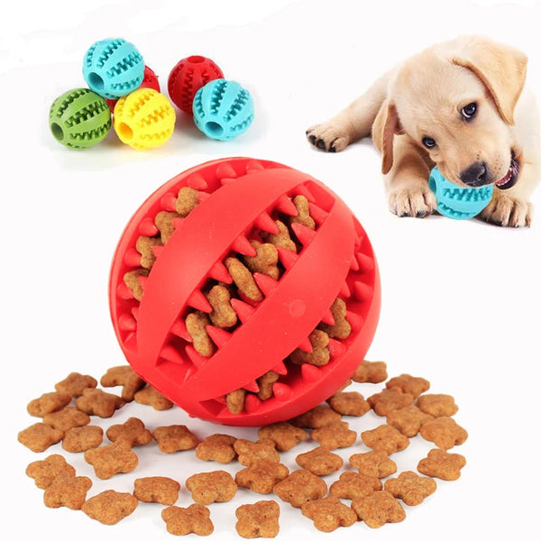 Dog Treat Chew Ball for Teeth Cleaning