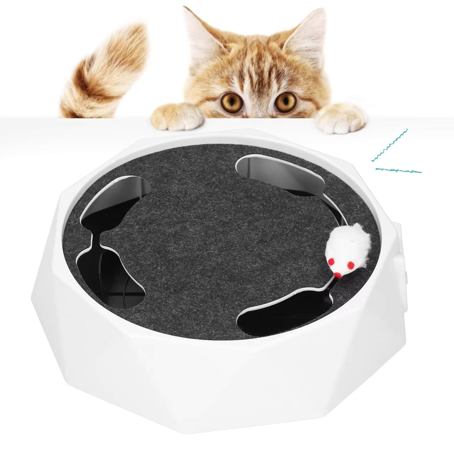 Interactive Cat Toy With Moving Mouse