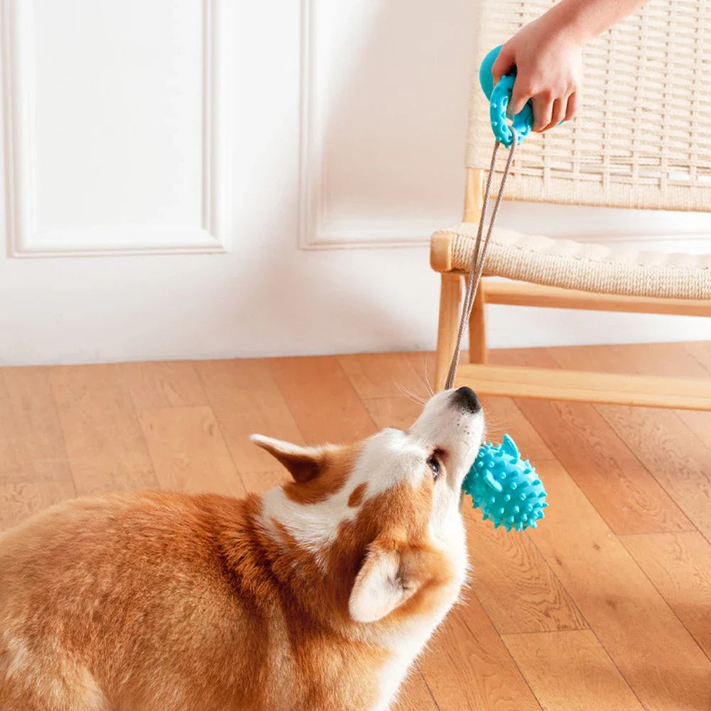 Dog Suction Cup Treat Toy