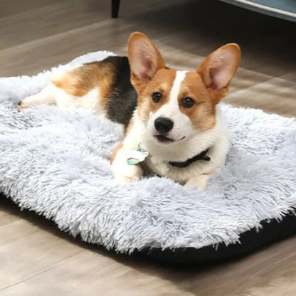 Paw-Soft Mat