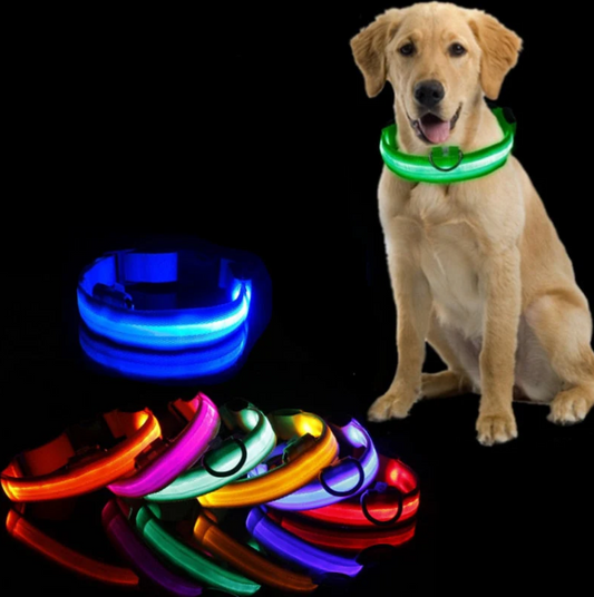 Dog Collar With Led Lights