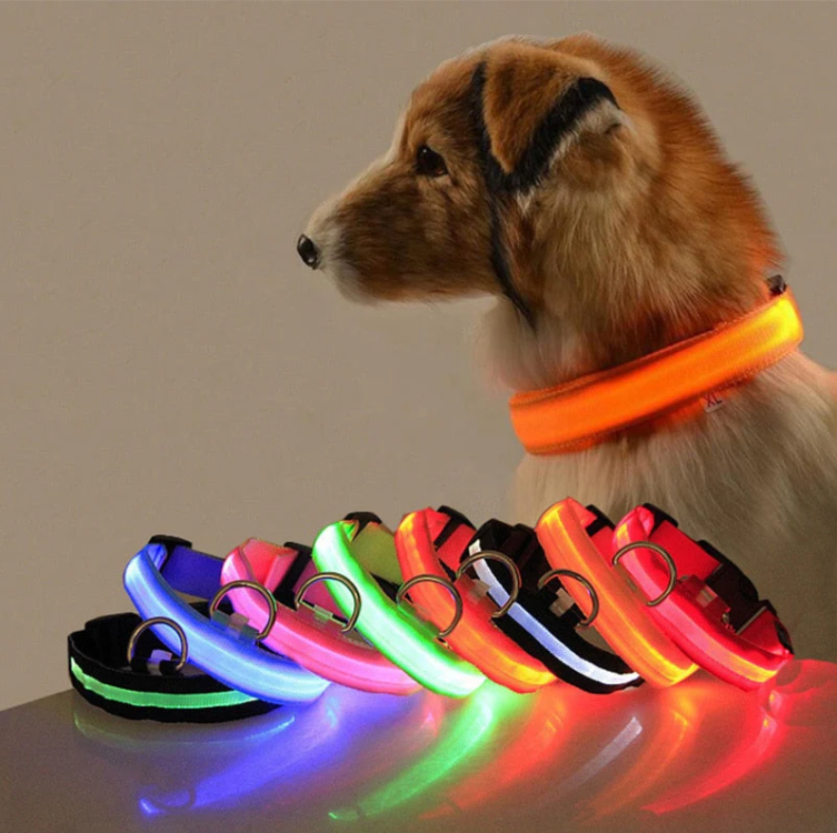 Dog Collar With Led Lights