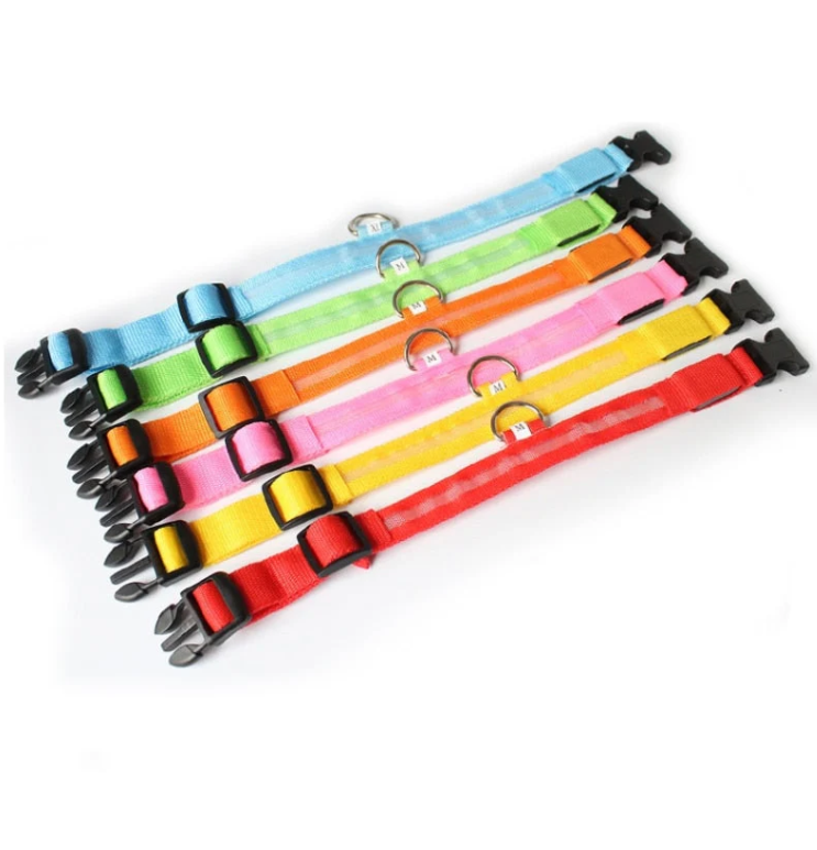 Dog Collar With Led Lights