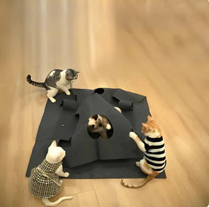 Creative Play And Hiding Mat For Cats