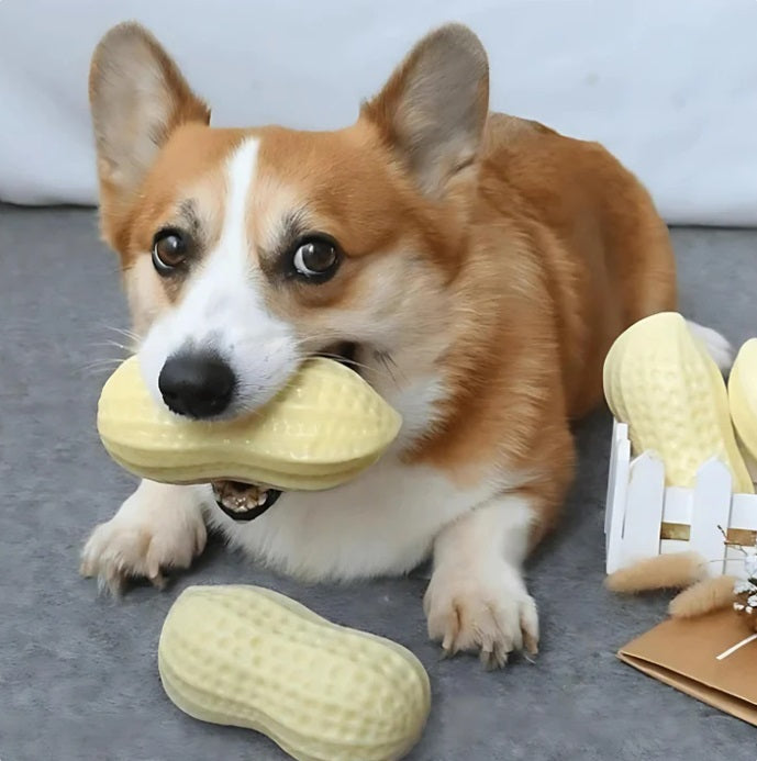 Tooth-cleaning Chew Toy For Dogs In Peanut Design