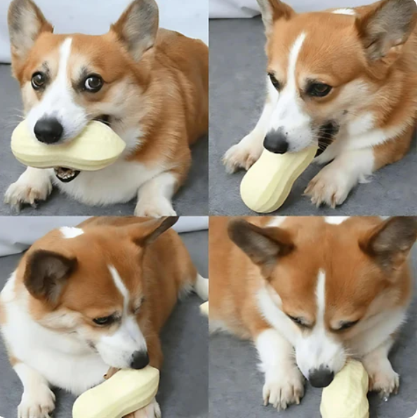 Tooth-cleaning Chew Toy For Dogs In Peanut Design