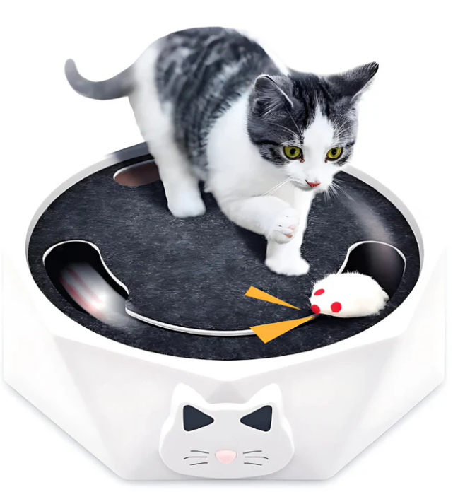 Interactive Cat Toy With Moving Mouse