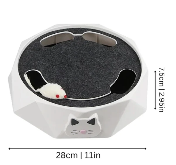 Interactive Cat Toy With Moving Mouse