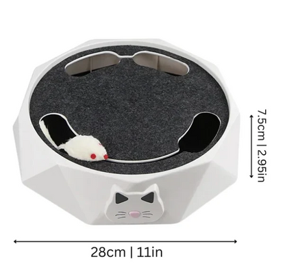 Interactive Cat Toy With Moving Mouse