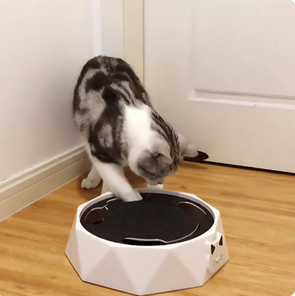 Interactive Cat Toy With Moving Mouse