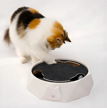 Interactive Cat Toy With Moving Mouse