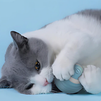 Rolling Play Ball for Cats with Feather Tail