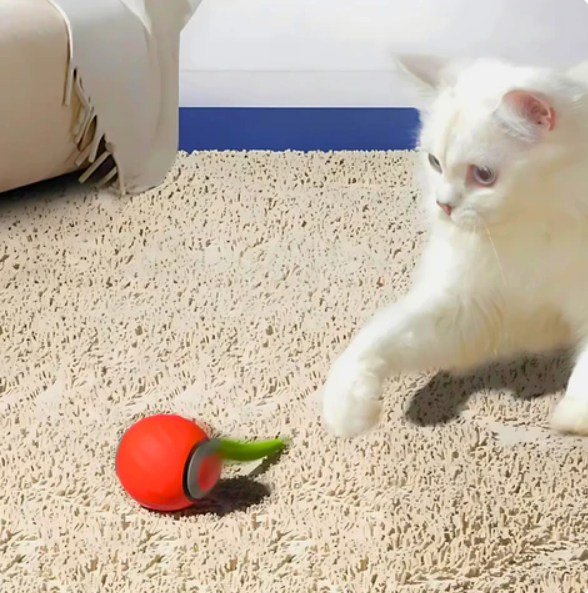 Rolling Play Ball for Cats with Feather Tail